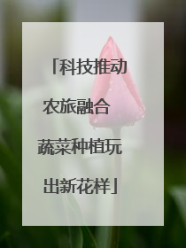 科技推动农旅融合 蔬菜种植玩出新花样
